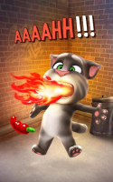 Talking Tom Cat 13