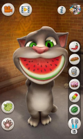 Talking Tom Cat 1