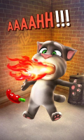 Talking Tom Cat 3