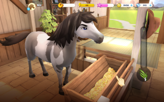 Horse Haven World Adventures 13