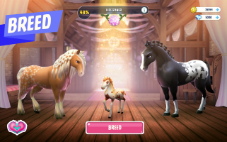 Horse Haven World Adventures 16