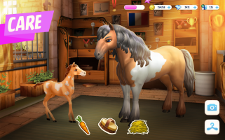 Horse Haven World Adventures 17