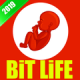 Bit Life - Simulator 2019 Logo