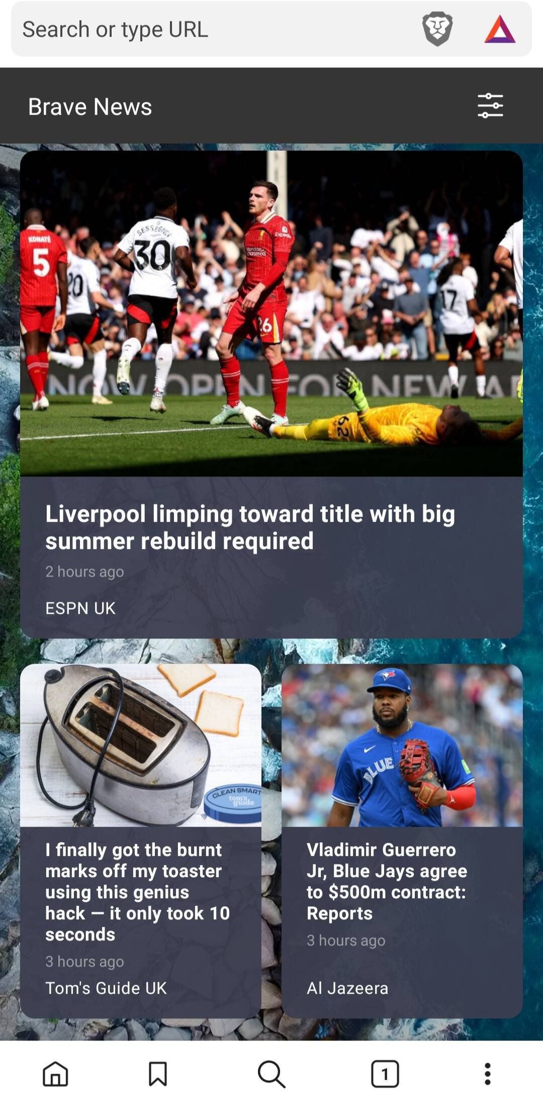 Brave Private Web Browser, VPN Screenshot